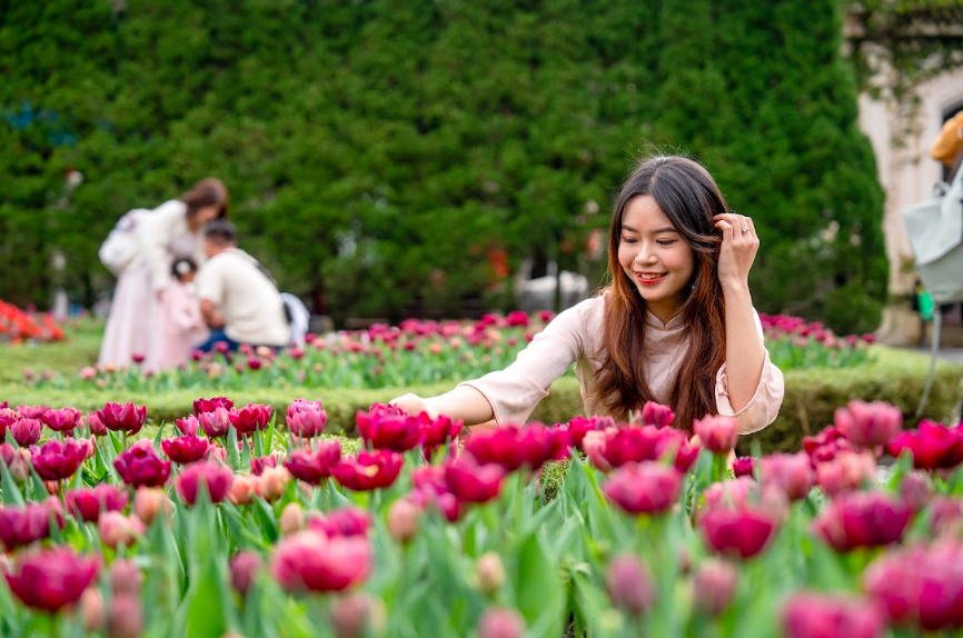 Thưởng ngoạn hàng nghìn bông tulip quý hiếm trên đỉnh Bà Nà dịp Tết Nguyên đán