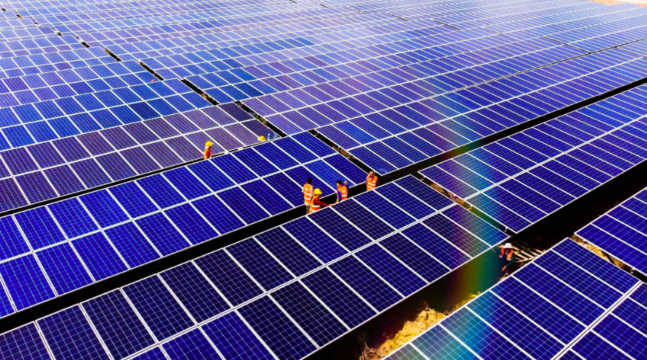 Năm 2024, doanh thu Bamboo Capital cán mốc 4.371,9 tỷ đồng, lợi nhuận sau thuế tăng gấp 5 lần