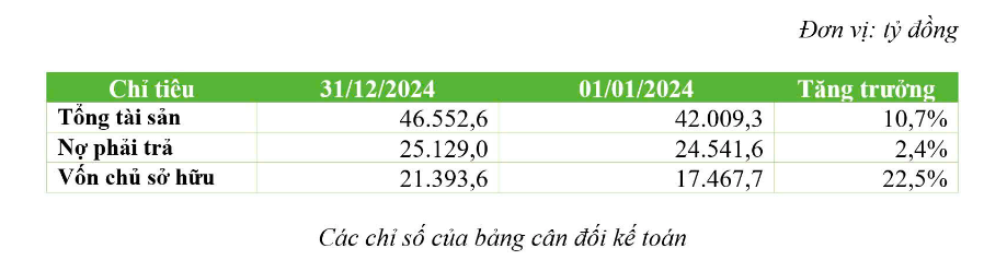 Năm 2024, doanh thu Bamboo Capital cán mốc 4.371,9 tỷ đồng, lợi nhuận sau thuế tăng gấp 5 lần