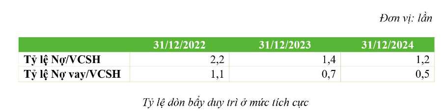 Năm 2024, doanh thu Bamboo Capital cán mốc 4.371,9 tỷ đồng, lợi nhuận sau thuế tăng gấp 5 lần