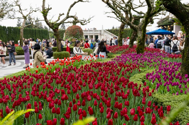 Hàng nghìn du khách đến du xuân tại Sun World Ba Na Hills dịp đầu năm mới 2025