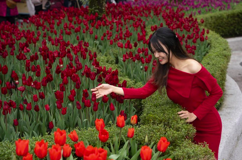 Hàng nghìn du khách đến du xuân tại Sun World Ba Na Hills dịp đầu năm mới 2025