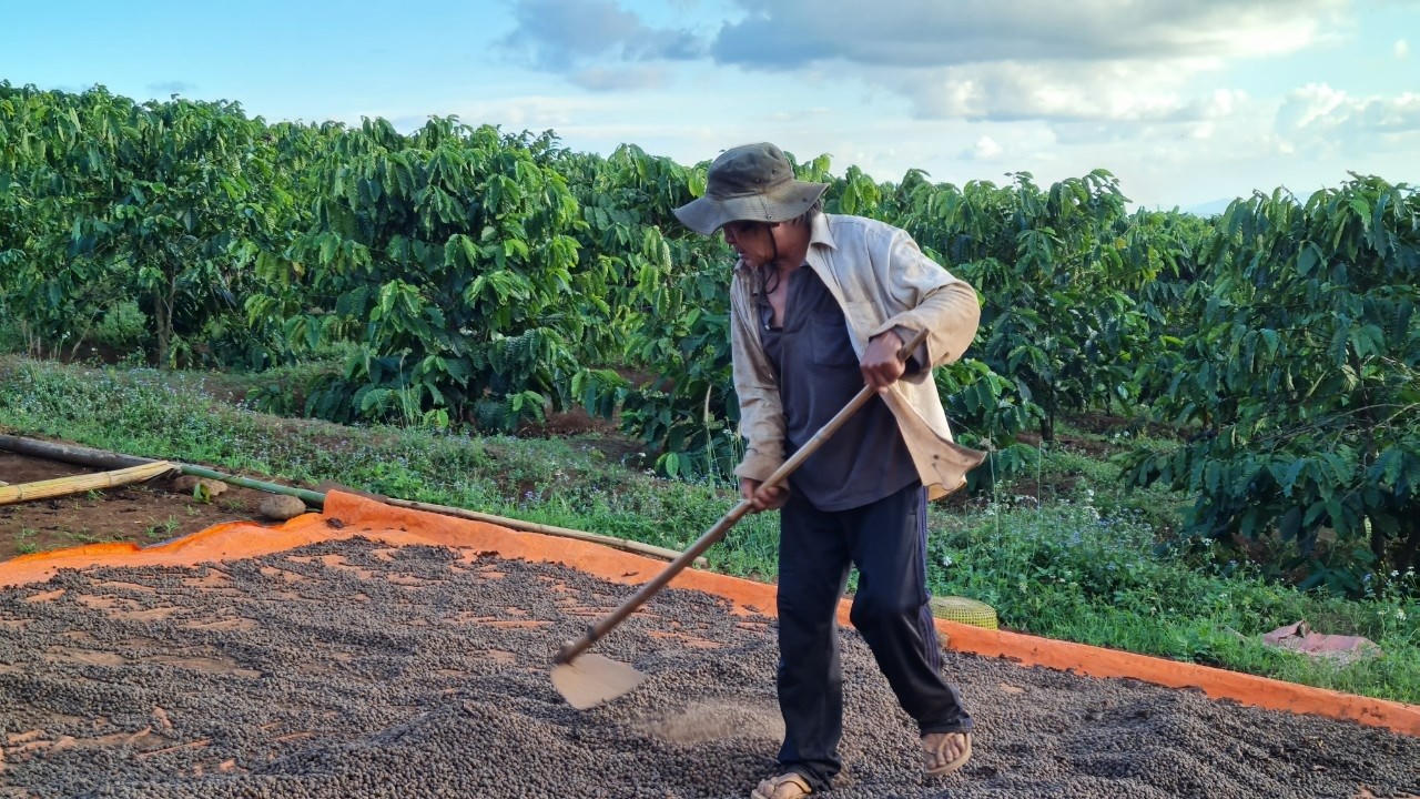 Kon Tum: Phấn đấu đến năm 2025, 100% đồng bào DTTS có đất ở, đất sản xuất