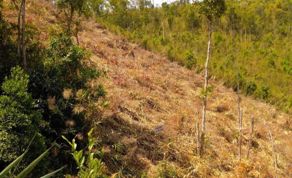 Phát hiện nhiều vị trí rừng bị phá ở huyện Đak Đoa