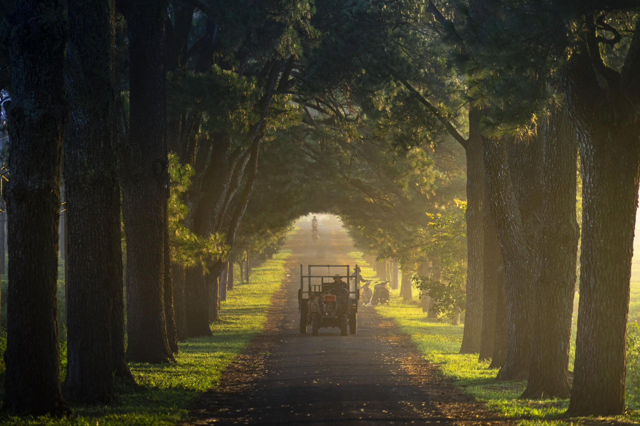 Gia Lai mùa lễ hội