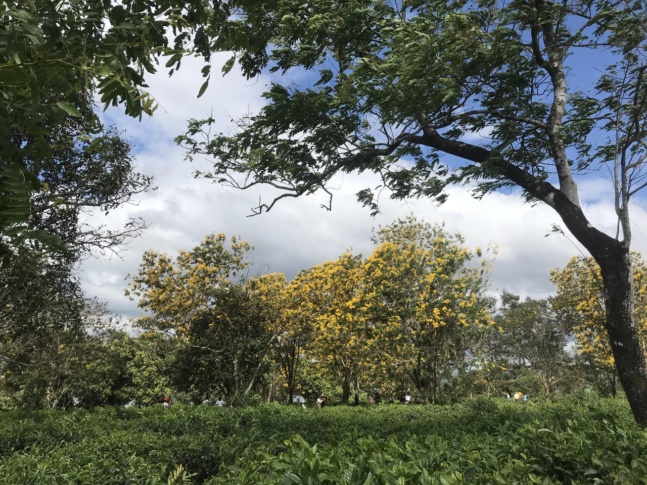 Gia Lai mùa lễ hội