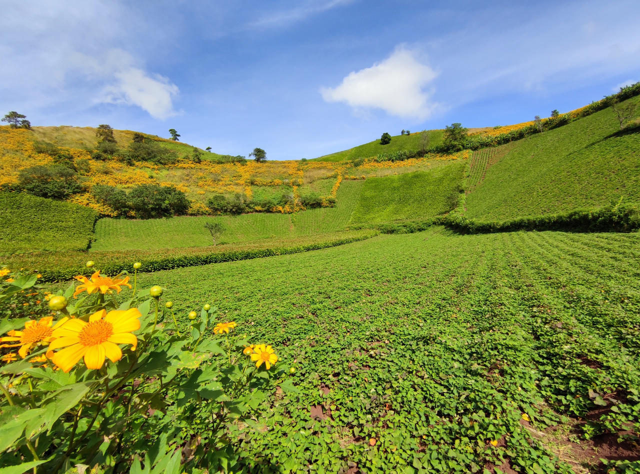 Gia Lai mùa lễ hội