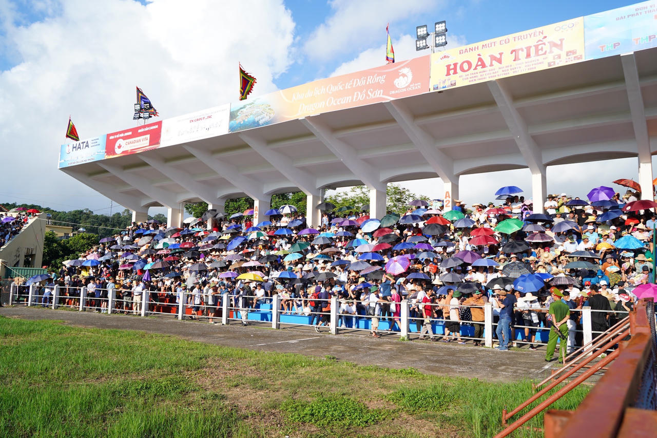 Toàn cảnh Lễ hội Chọi trâu truyền thống Đồ Sơn năm 2023 