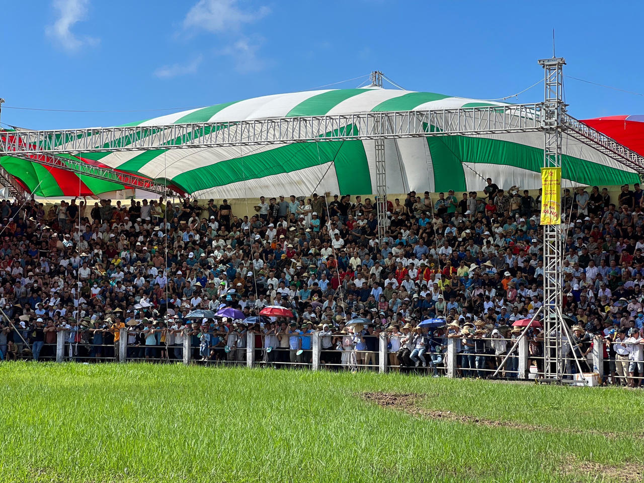 Toàn cảnh Lễ hội Chọi trâu truyền thống Đồ Sơn năm 2023 