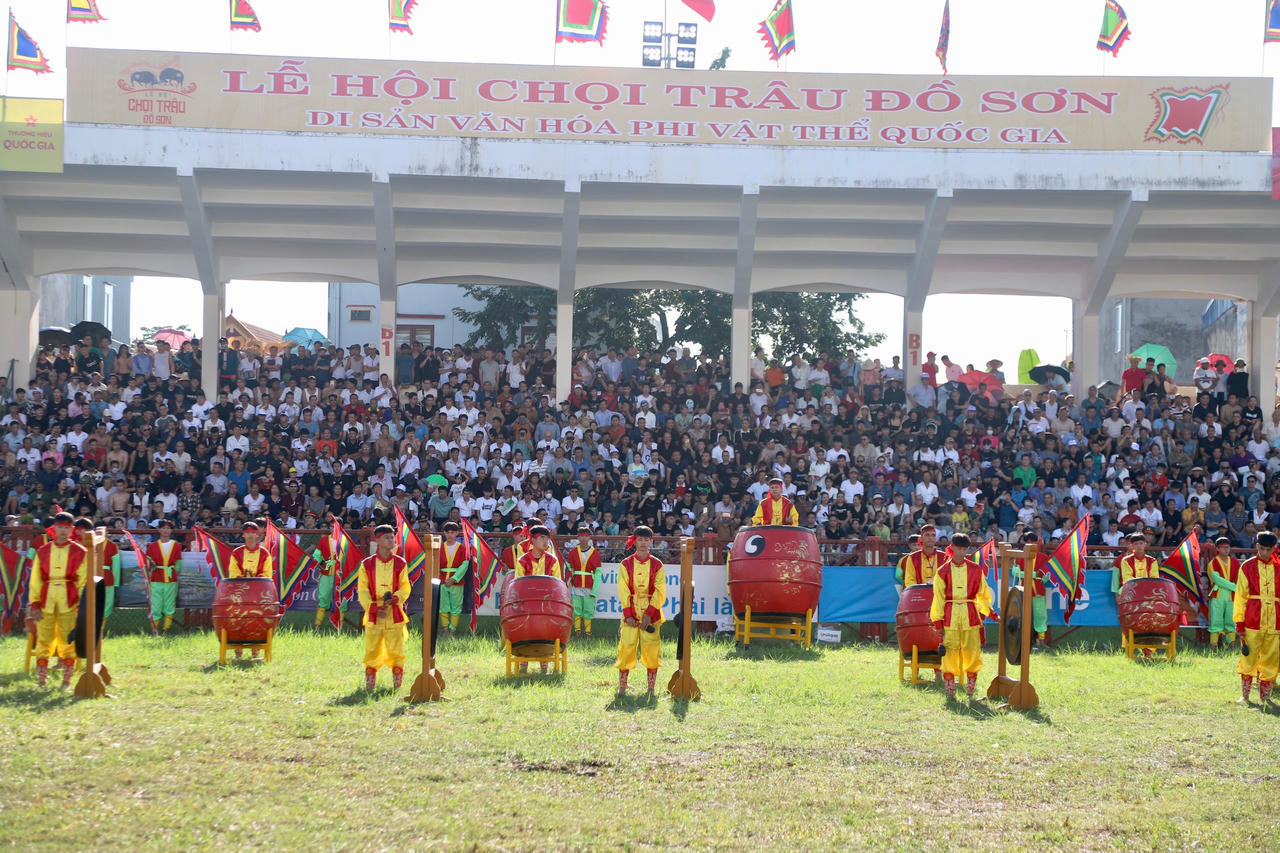 Toàn cảnh Lễ hội Chọi trâu truyền thống Đồ Sơn năm 2023 