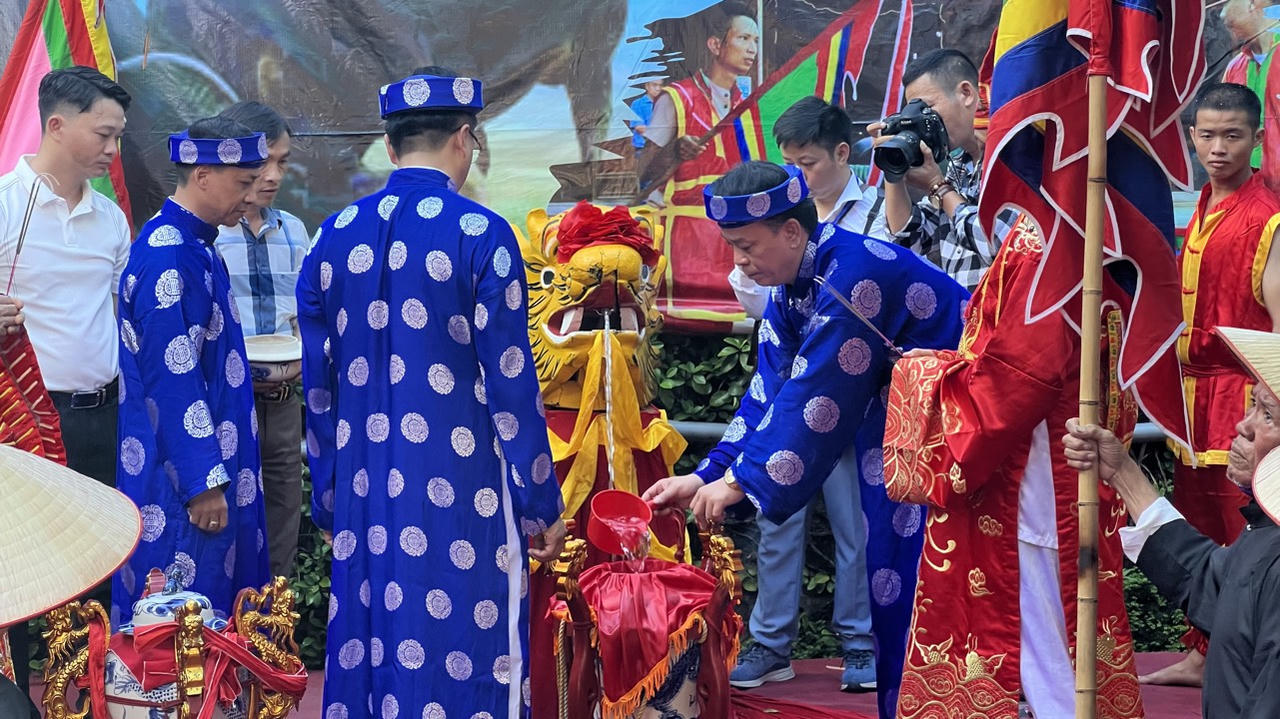  3 "ông trâu" có trọng lượng khoảng 1,2 tấn sẽ tham dự Lễ hội chọi trâu Đồ Sơn 2024 