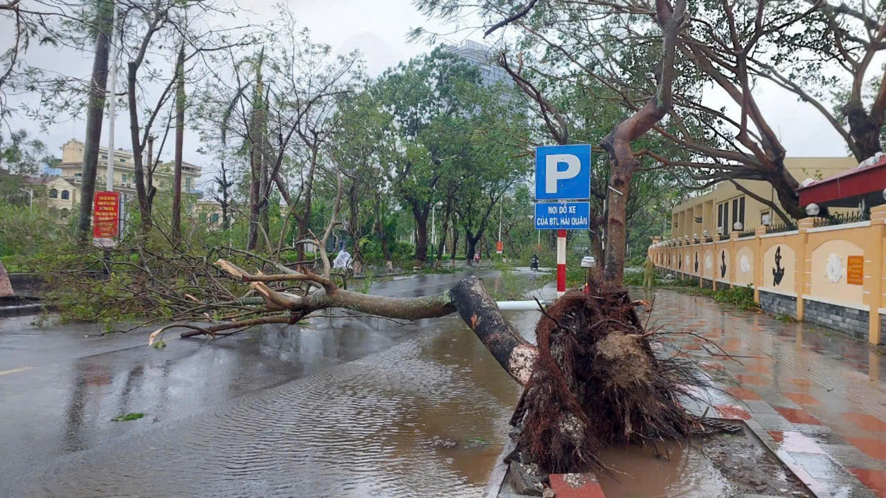 Bão quần thảo đồng bằng Bắc Bộ, 4 người tử vong, 6 người mất tích