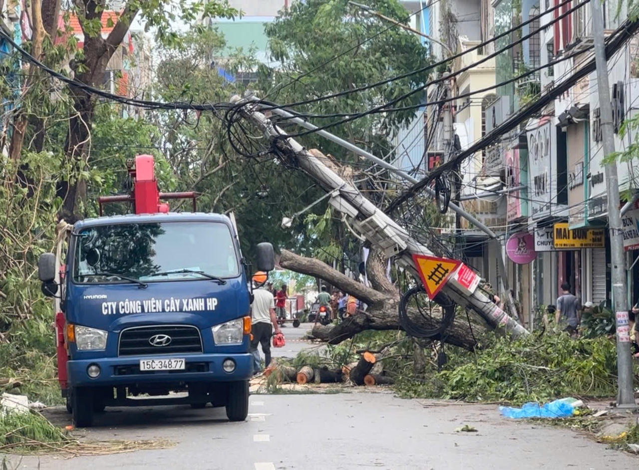 Khẩn trương khắc phục cây xanh bị thiệt hại tại Hải Phòng sau bão số 3
