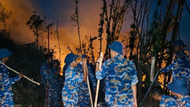 Hải Phòng: Cháy thảm thực bì tại huyện Thuỷ Nguyên