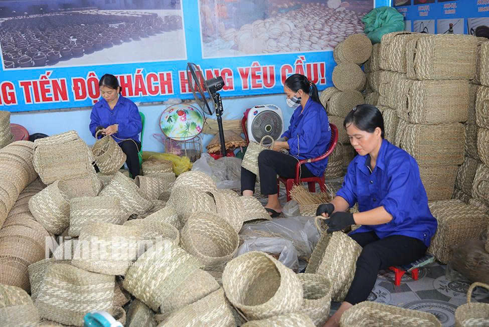 Ninh Bình đẩy nhanh tiến độ điều tra doanh nghiệp để đưa ra chính sách phù hợp thúc đẩy phát triển