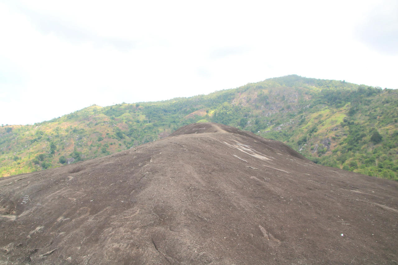 Tận kiến đá Voi sừng sững giữa núi rừng Tây Nguyên