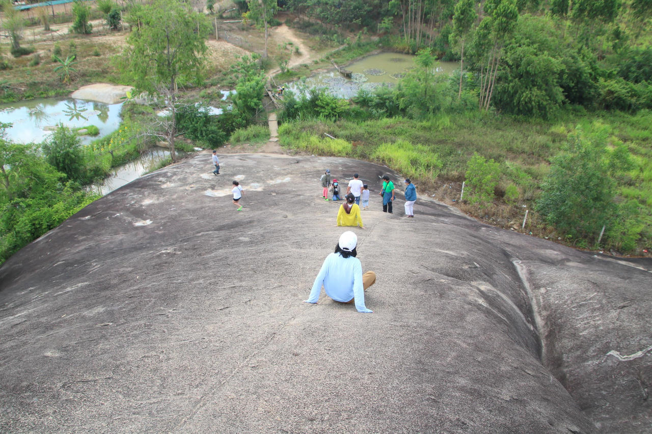 Tận kiến đá Voi sừng sững giữa núi rừng Tây Nguyên