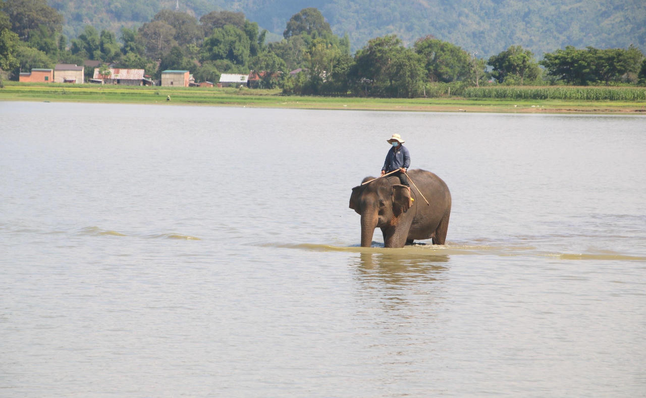 Hồ Lắk - nét chấm phá độc đáo giữa núi rừng Tây Nguyên