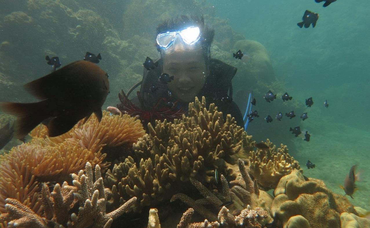 Phục hồi hệ sinh thái rạn san hô, phát triển du lịch biển 