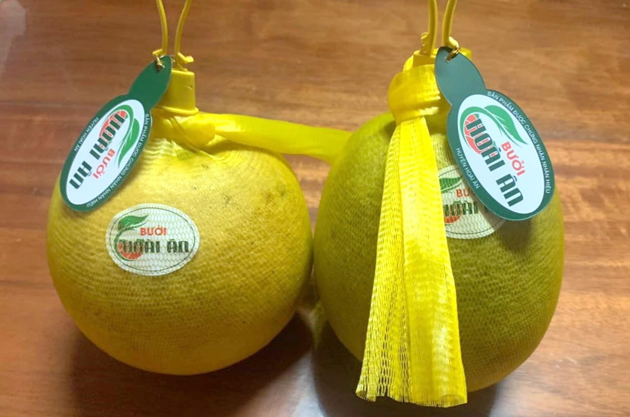 Địa phương đi đầu trong phát triển nông nghiệp công nghệ cao ở Bình Định