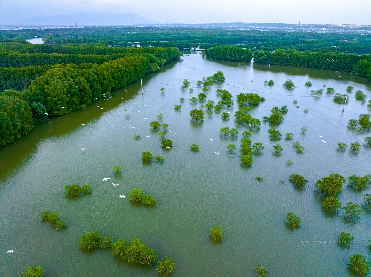 Khu sinh thái Cồn Chim - “ốc đảo xanh” tuyệt mỹ ở Bình Định