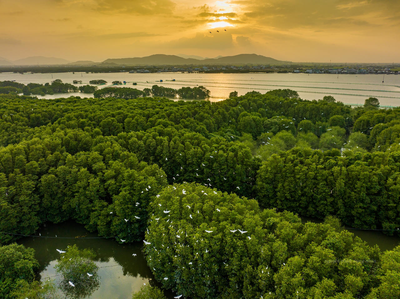 Khu sinh thái Cồn Chim - “ốc đảo xanh” tuyệt mỹ ở Bình Định