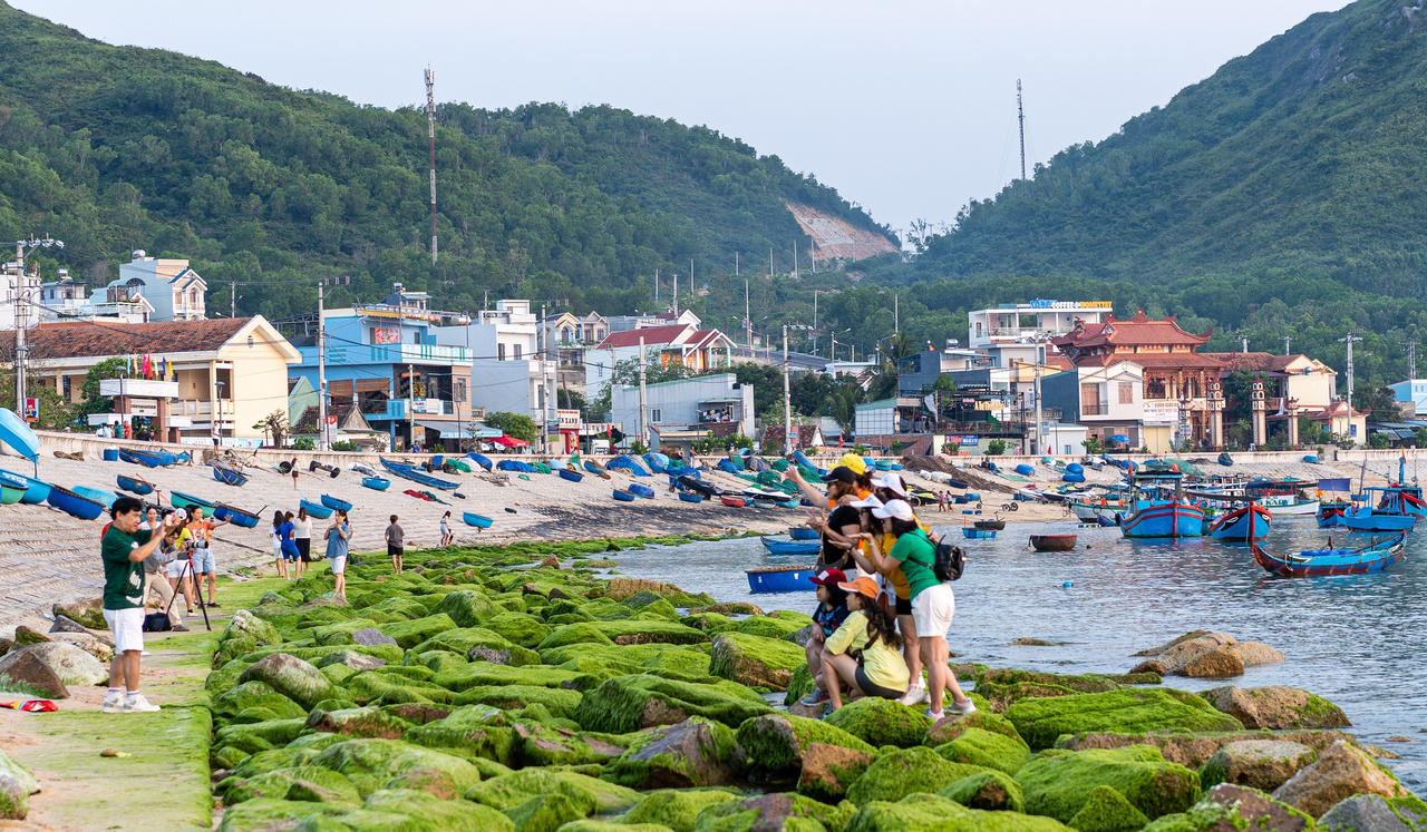 Ngỡ ngàng trước vẻ đẹp mùa rêu biển ở Bình Định