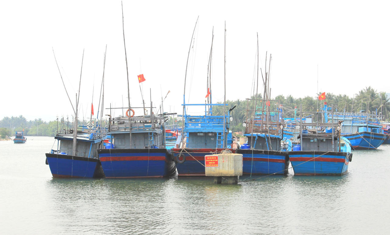  Cửa biển, luồng lạch vào cảng cá Tam Quan bị bồi lấp nghiêm trọng