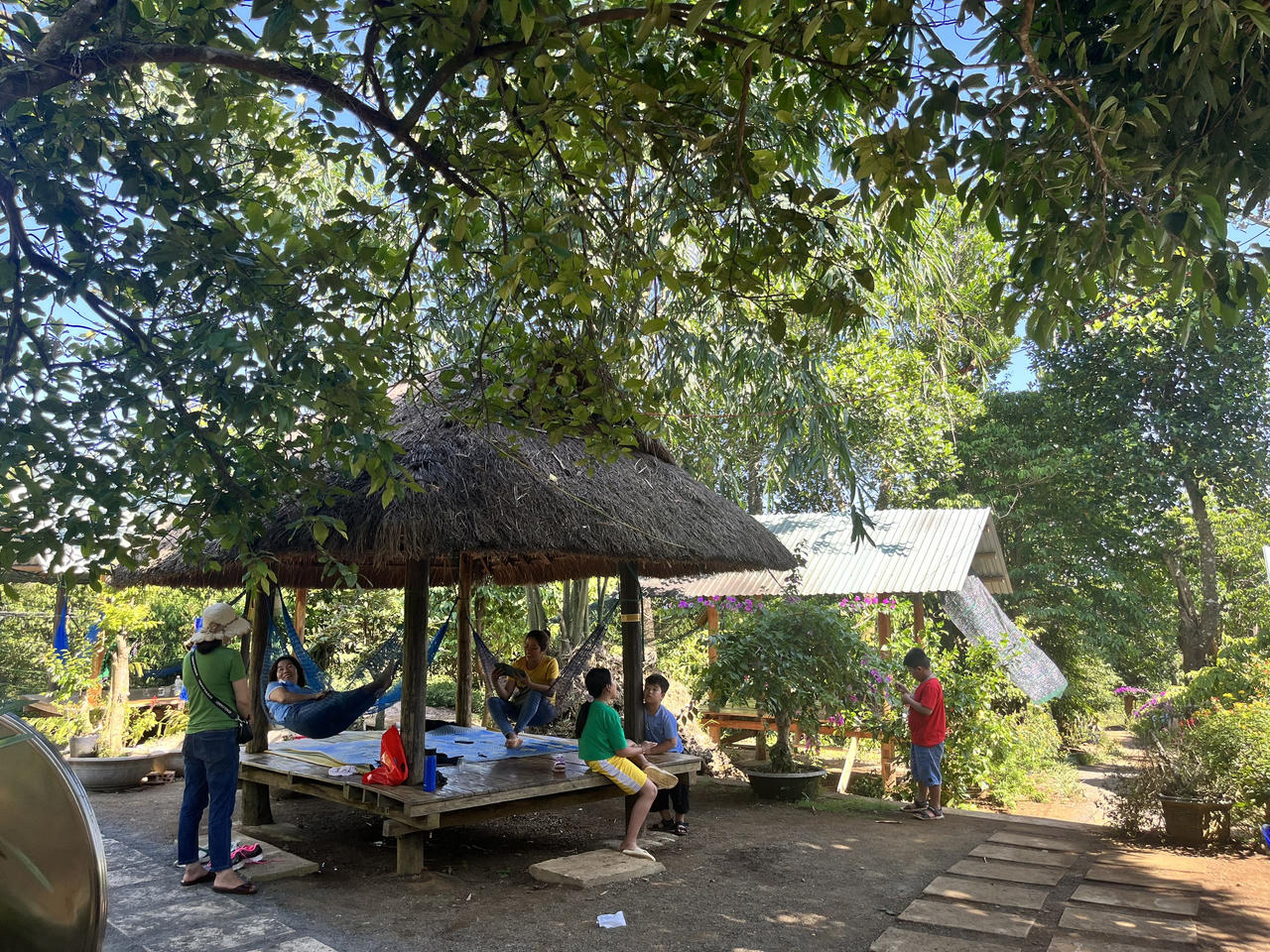 Du khách “đắm say” check-in vườn đỏ ở vùng cao Phú Yên