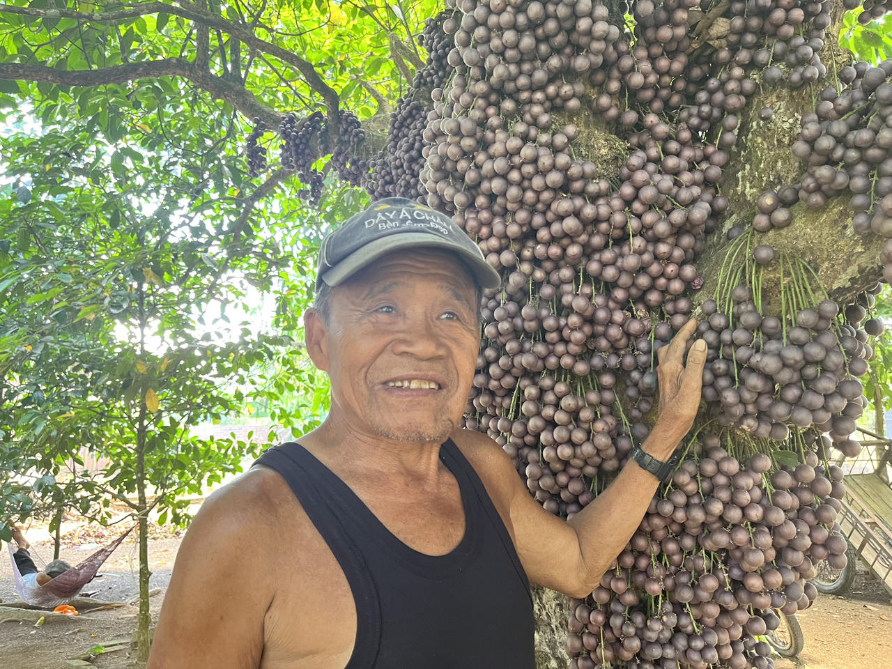 Du khách “đắm say” check-in vườn đỏ ở vùng cao Phú Yên