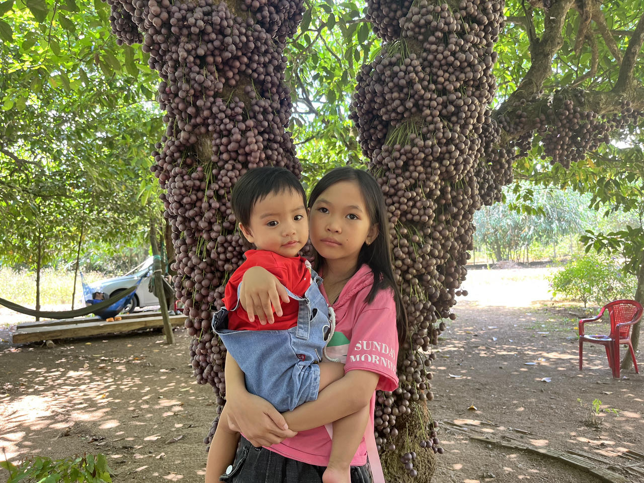 Du khách “đắm say” check-in vườn đỏ ở vùng cao Phú Yên