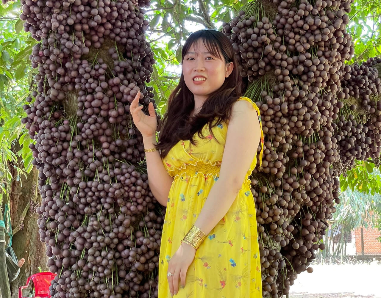 Du khách “đắm say” check-in vườn đỏ ở vùng cao Phú Yên