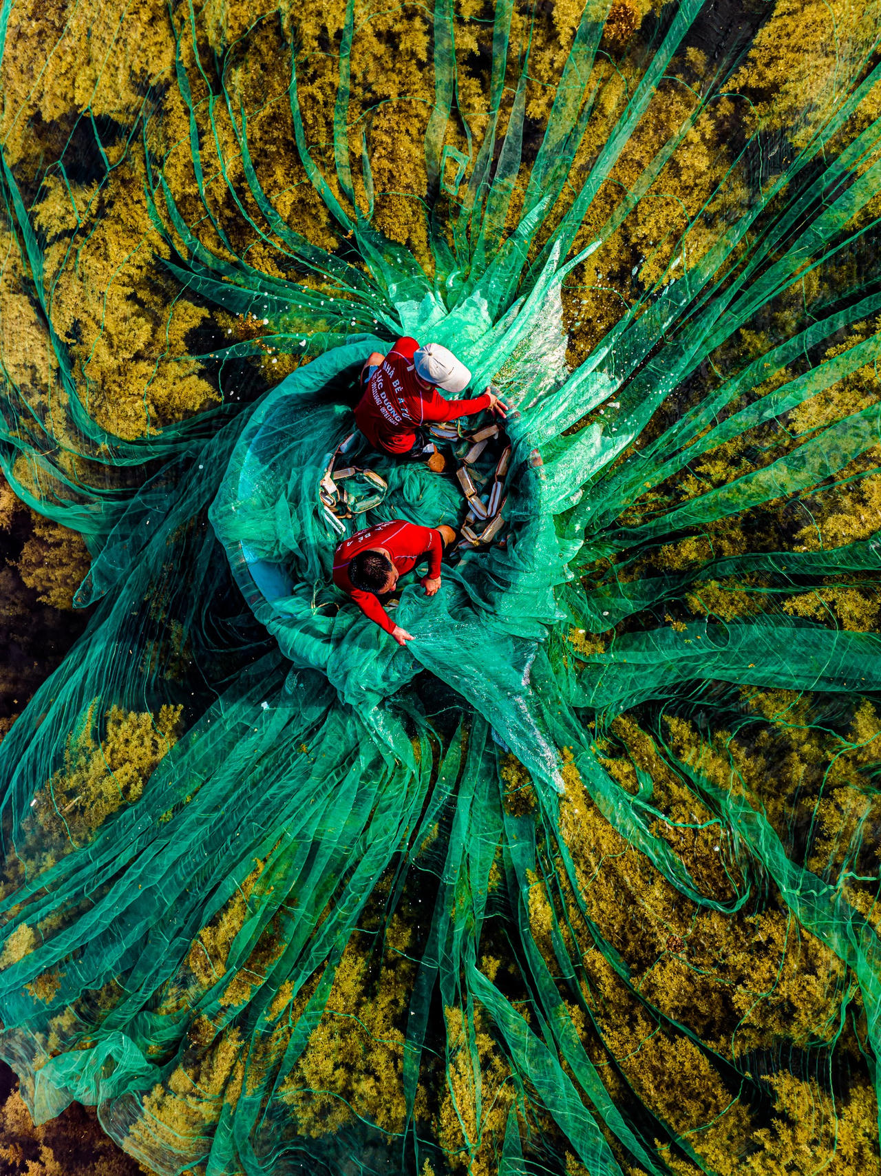 Mùa rong biển tuyệt mỹ ở Nhơn Hải