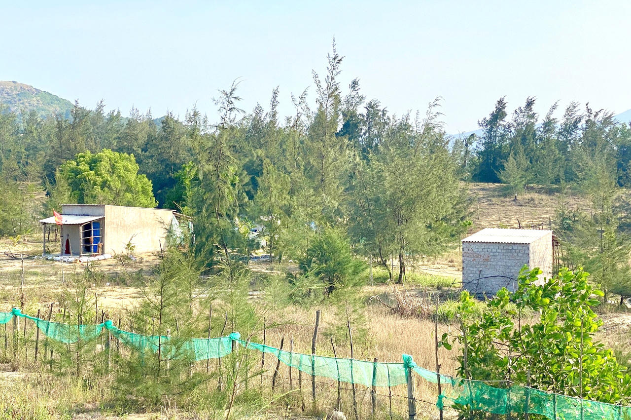 Bình Định kiên quyết xử lý về lấn, chiếm đất đai, không để xảy ra vi phạm mới