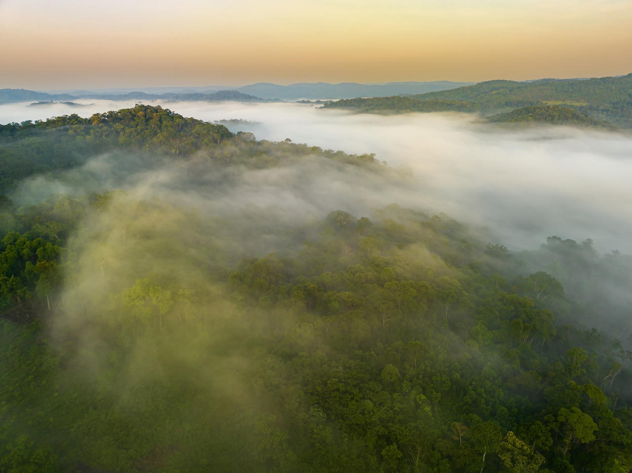 “Săn mây” ở đại ngàn An Lão