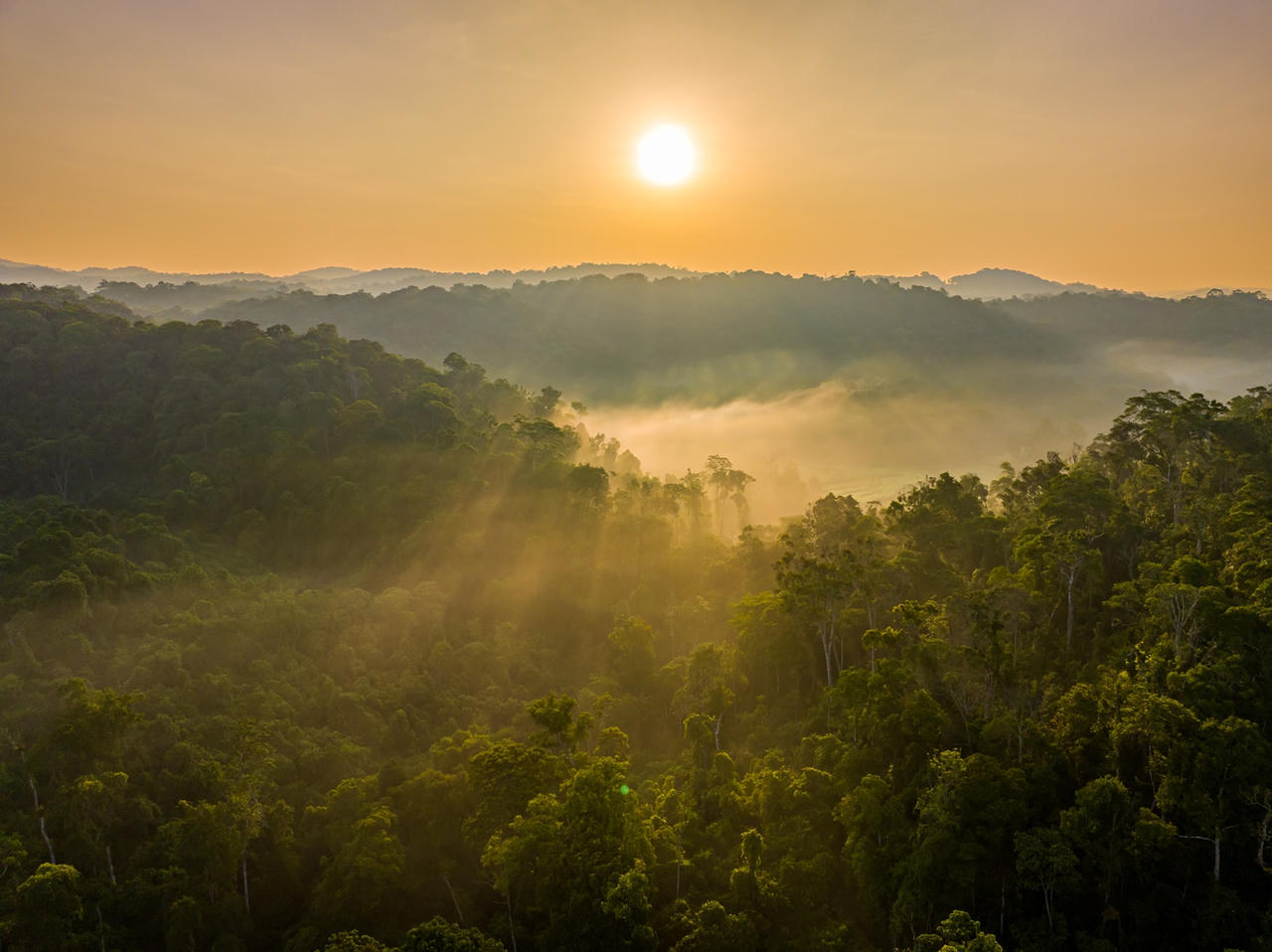 “Săn mây” ở đại ngàn An Lão