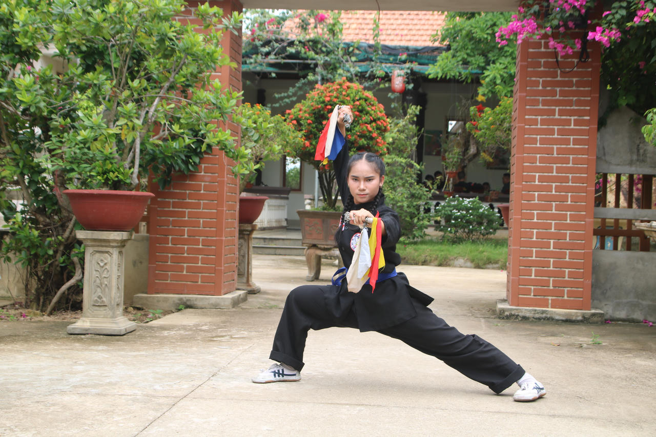 Tìm giải pháp đẩy mạnh sự phát triển võ cổ truyền Việt Nam