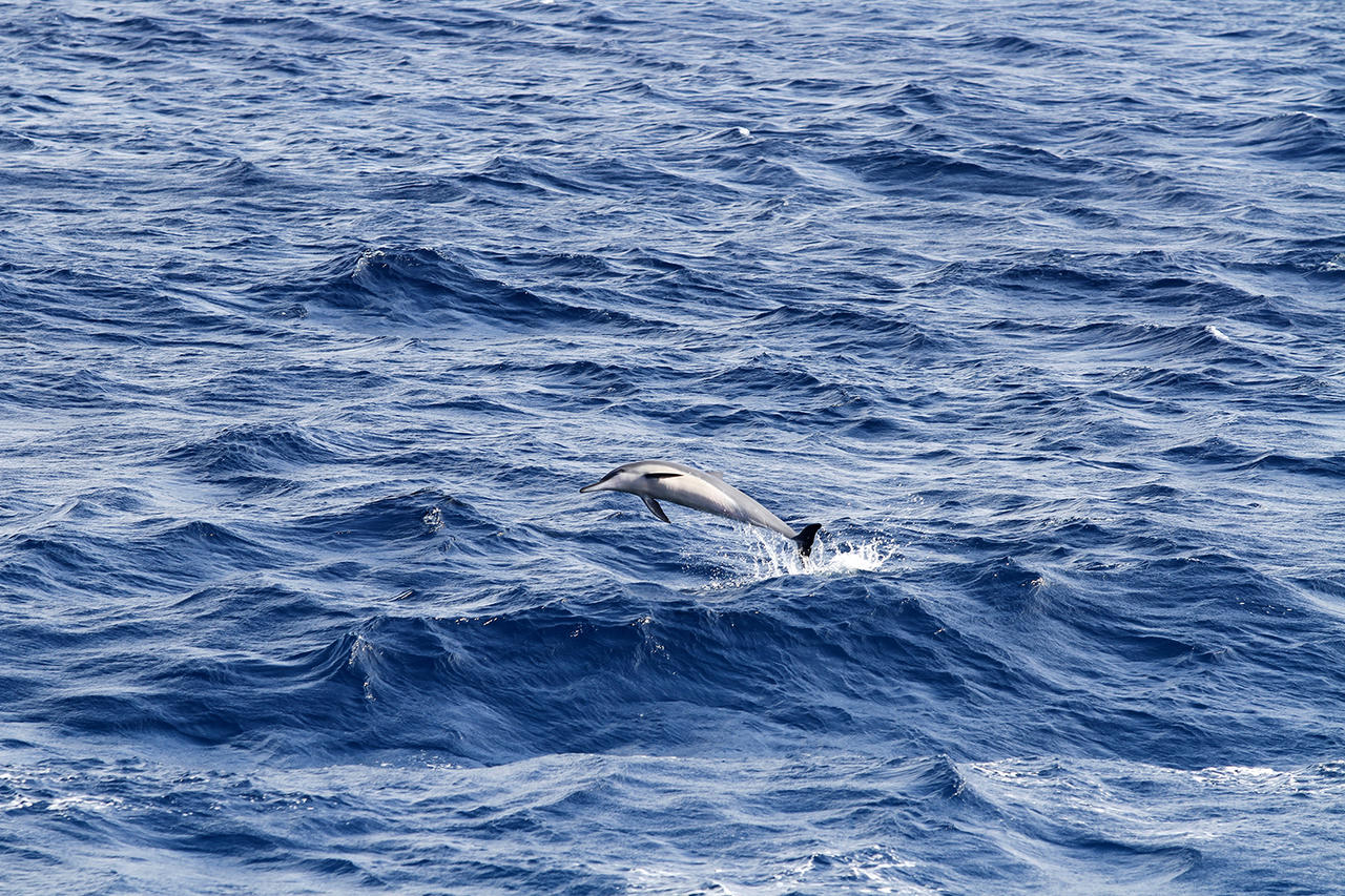 Triển lãm ảnh 'Sức sống Trường Sa” - Sắc màu tuổi trẻ' ở 3 tỉnh, thành