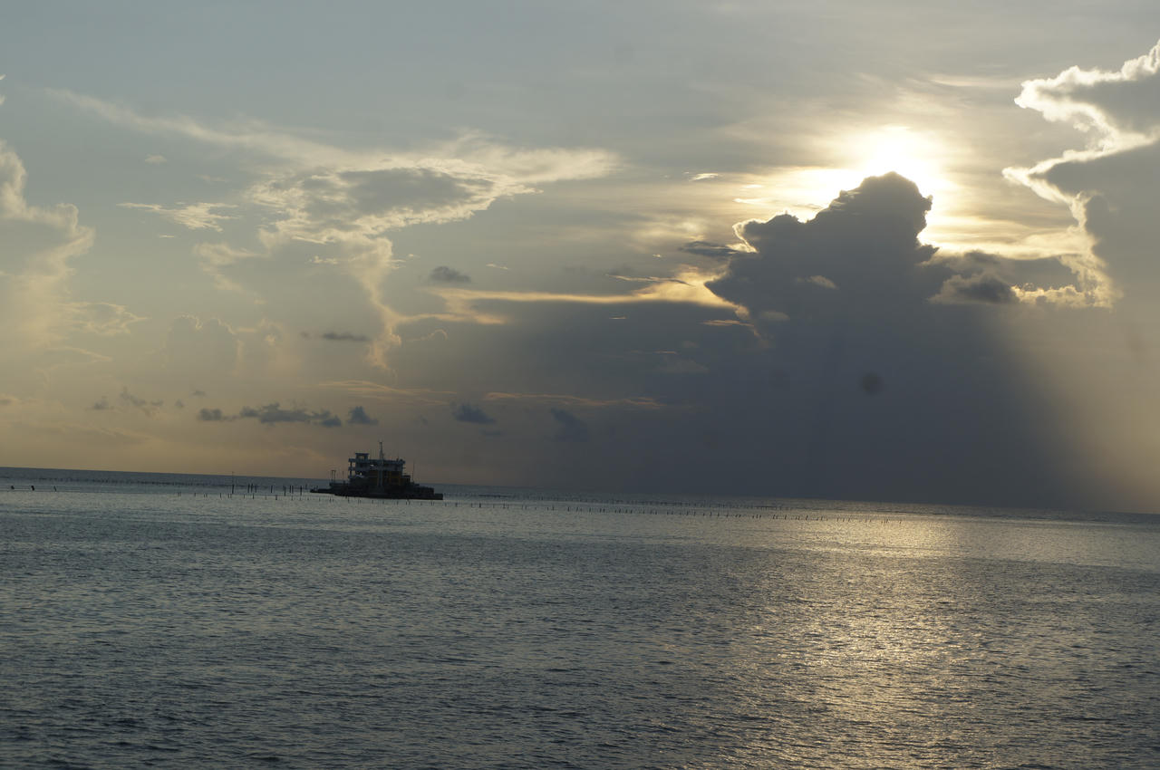 Vòng hoa tri ân tại Nghĩa trang xanh giữa Trường Sa