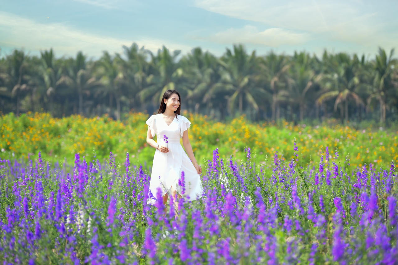 Hơn Một Triệu Bông Hồng Nở Hoa Rực Rỡ Khắp Ecopark