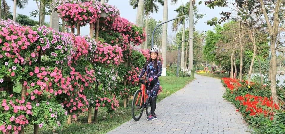 Hơn Một Triệu Bông Hồng Nở Hoa Rực Rỡ Khắp Ecopark