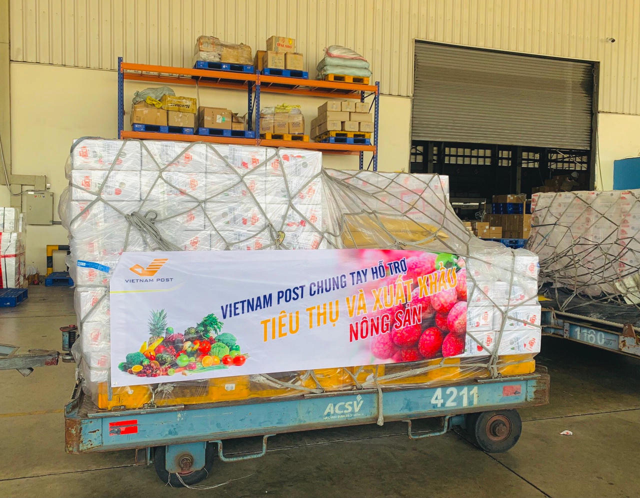 Vietnam Post dành trọn tải chuyến bay chuyển vải thiều xuất khẩu đến Nhật Bản