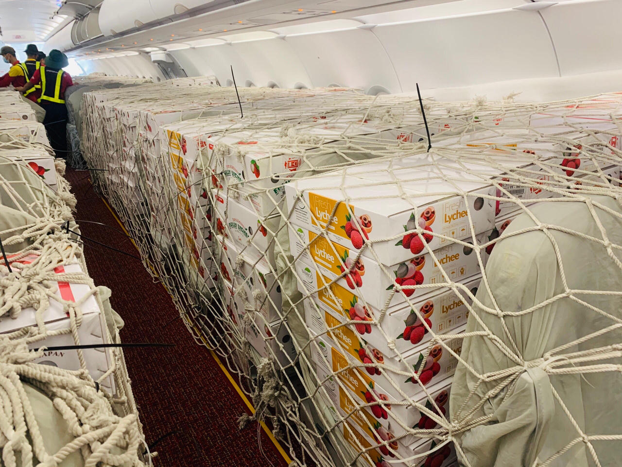 Vietnam Post dành trọn tải chuyến bay chuyển vải thiều xuất khẩu đến Nhật Bản