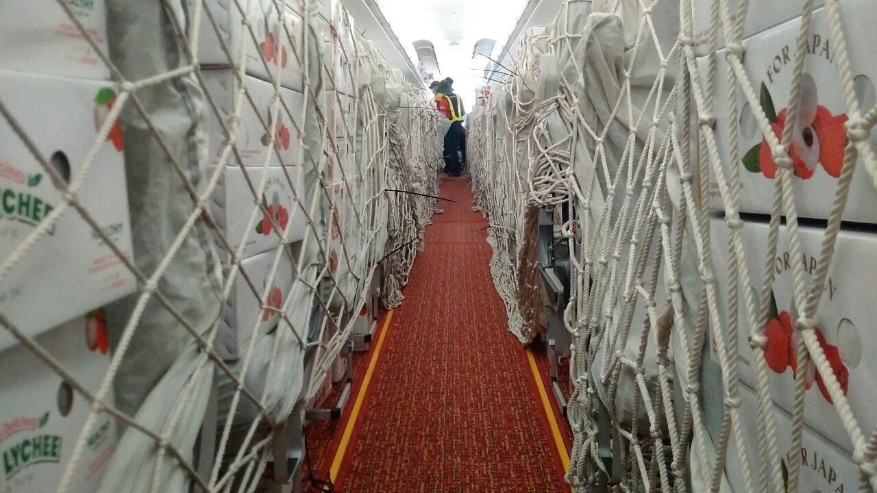 Vietjet chung tay đưa vải thiều Việt Nam xuất ngoại
