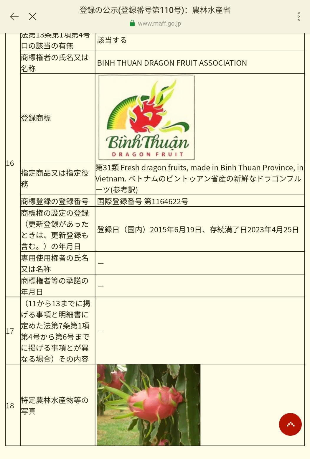 Thanh long Bình Thuận chính thức được bảo hộ chỉ dẫn địa lý tại Nhật Bản