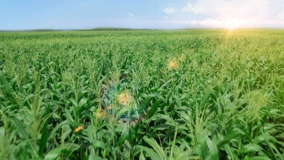 Ra mắt hệ thống trang trại sinh thái Vinamilk Green Farm