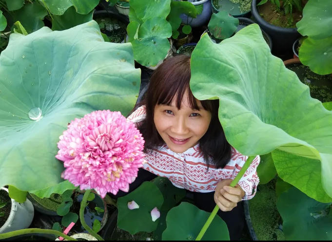 Vườn sen của mẹ Việt trên đất Bỉ: Chủ nhân đầu tư 2 nhà kính, hệ thống sưởi ấm nước