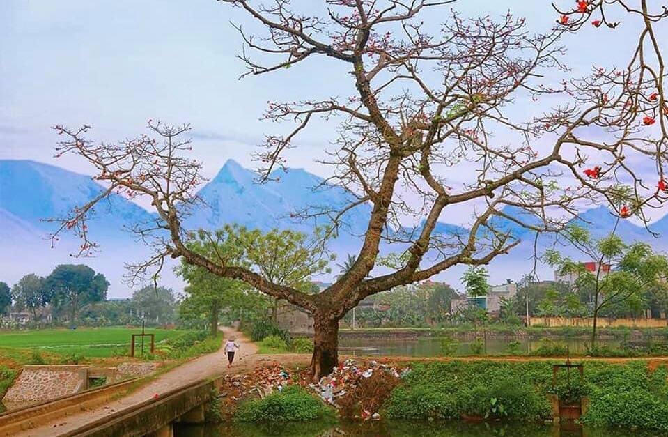 Những tuyến xe ngoại thành nhất định bạn nên đi