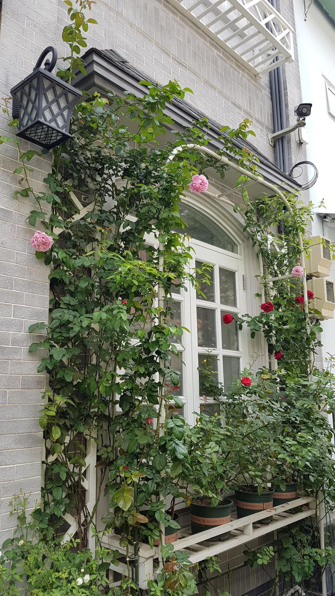 “Căn nhà len sợi” 35m2 đẹp như chuyện tranh giữa lòng Sài Gòn