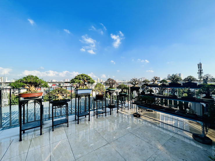 “Choáng” với vườn cây tiền tỷ trên sân thượng của chàng trai Hà Nội